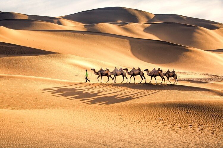 シルクロードツアー