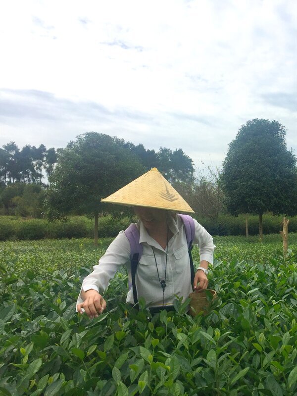 四川茶文化体験