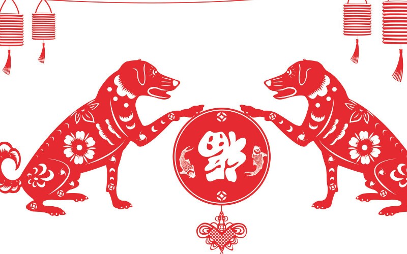 Year Of The Dog Personality And 21 Prediction Career Wealth And Love Recent Dog Years Are 30 18 06 1994 1970 19
