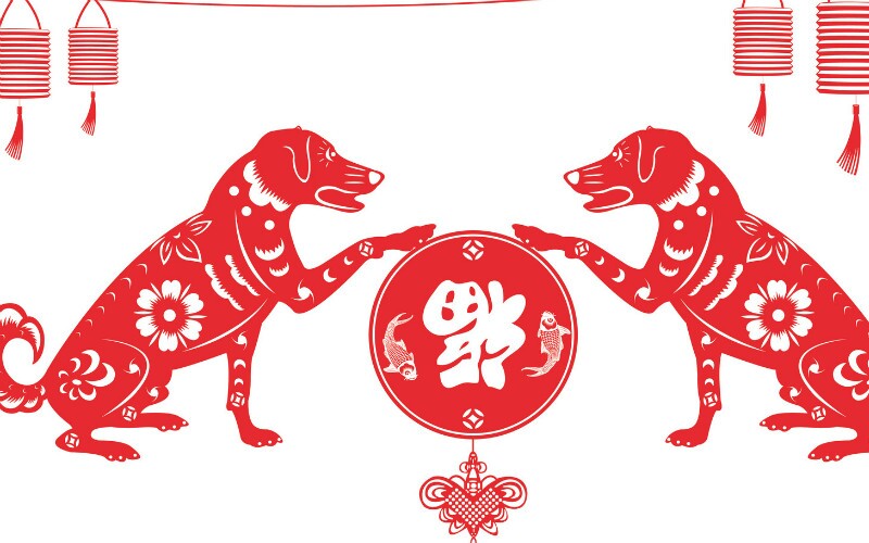 Year of the Dog, Personality and 2021 Prediction: Career, Wealth, and