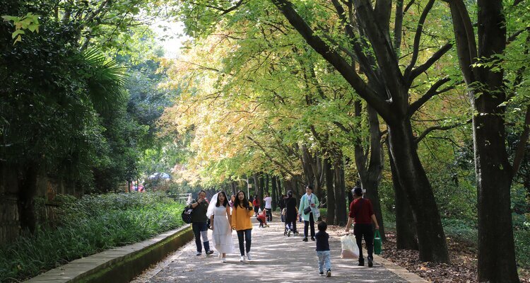 Winter Foliage at Botanical Gardens