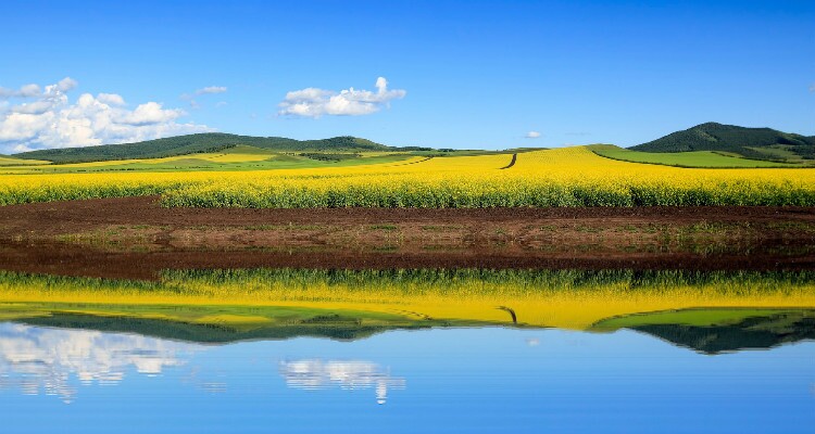 Lakes in Hulunbuir Grassland