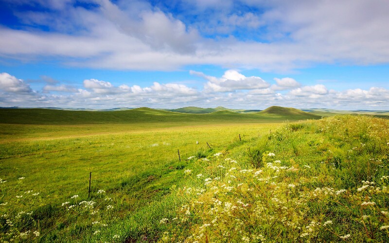 China's Top 6 Spectacular Grasslands and Pastures