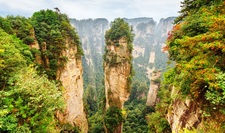 Национальный Парк Чжанцзяцзе Аватар