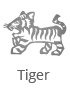 Year of the Tiger (2022 New Year Animal): Zodiac Luck Prediction