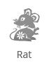 rat