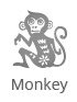 monkey