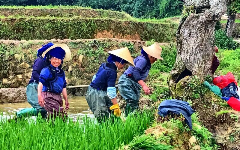 Carte Kunming-Jianshui-Yuanyang-Dali-Shaxi-Shangri-La-Lijiang-Kunming