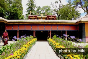 Norbulingka Protrang