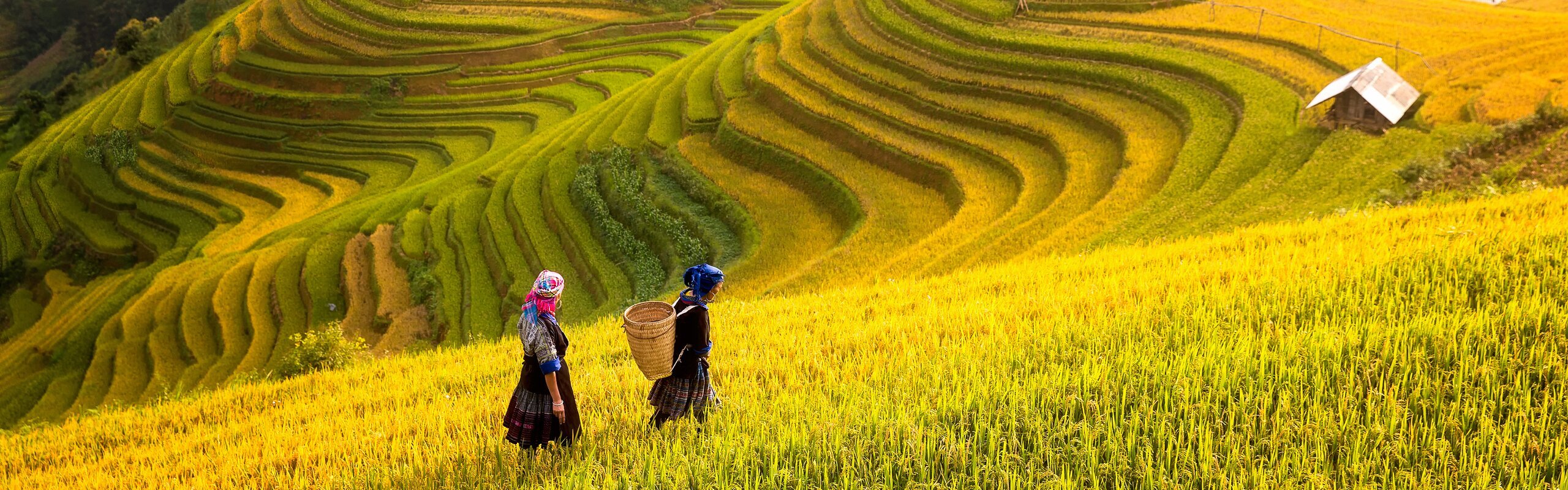 China's 5 Most Beautiful Rice Terraces