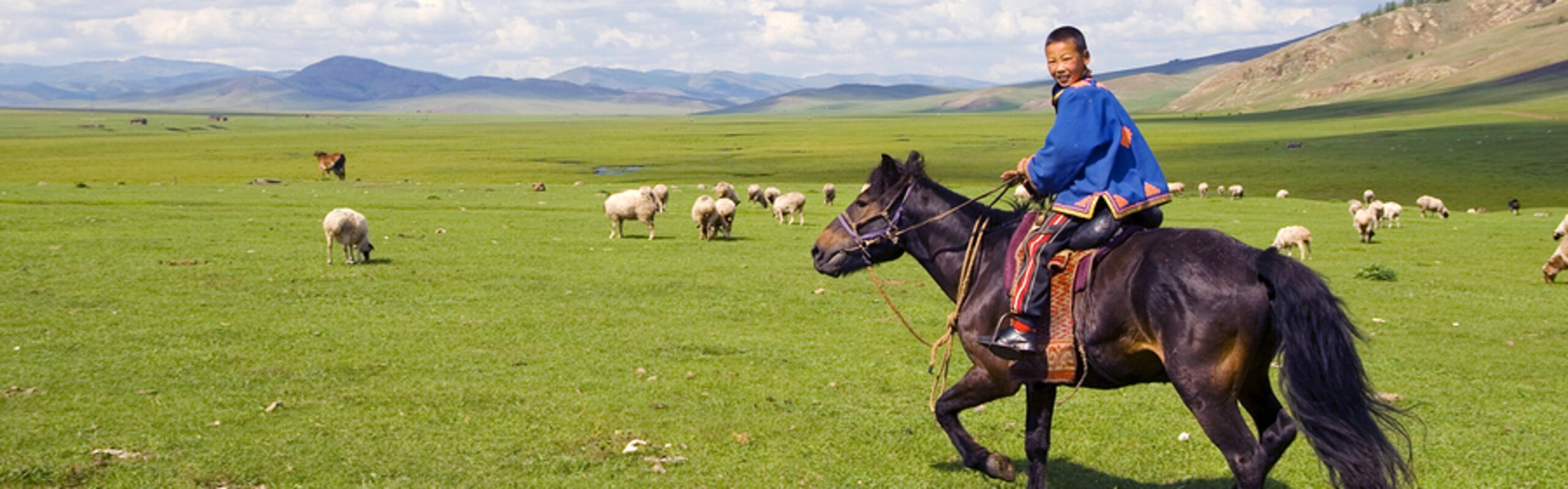  Litang Horse Racing Festival 