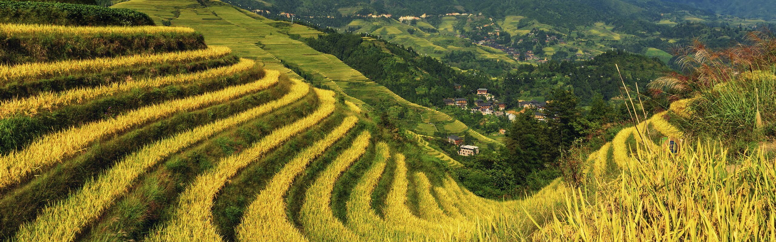 How to Plan a Day Trip in Guilin: 3 Top Itineraries