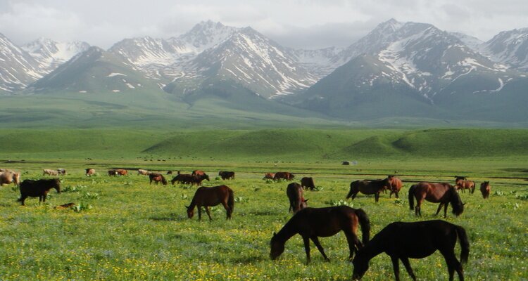 the Ili River Valley