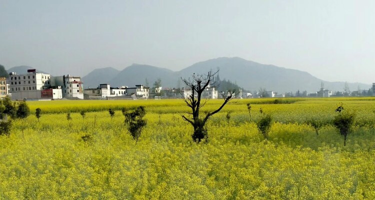 Majie Village