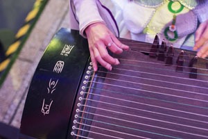 Год Козы Овцы Карьера