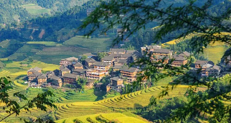  rice terrace