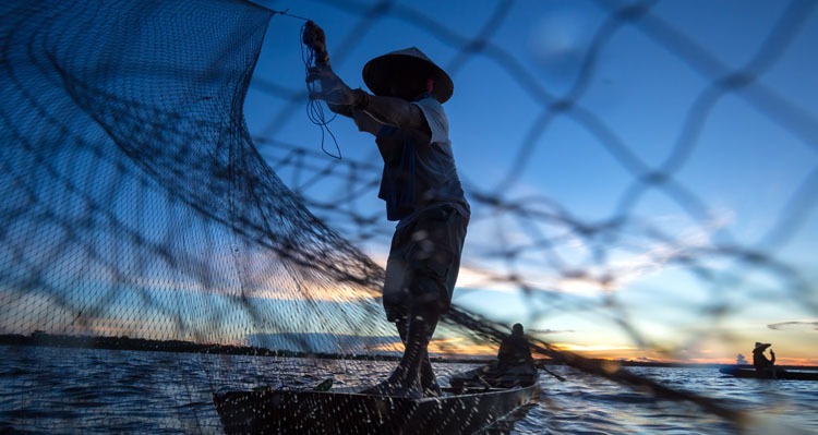 Fisherman is fishing