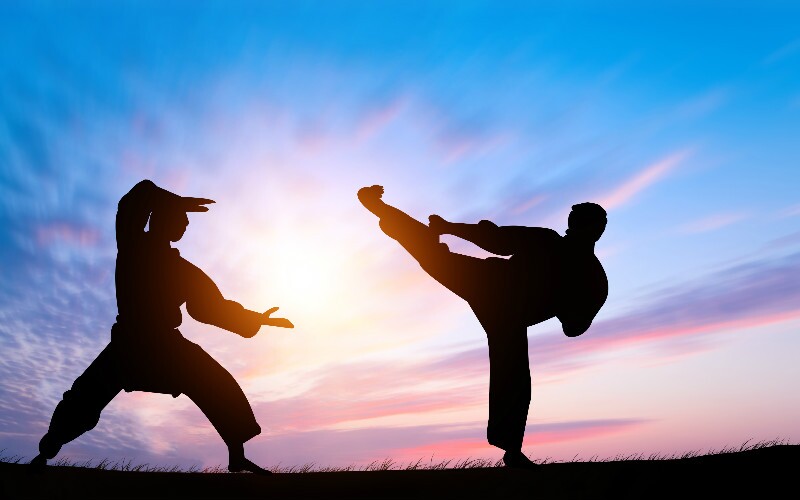 Shaolin Kung-Fu  Kung fu martial arts, Martial arts styles