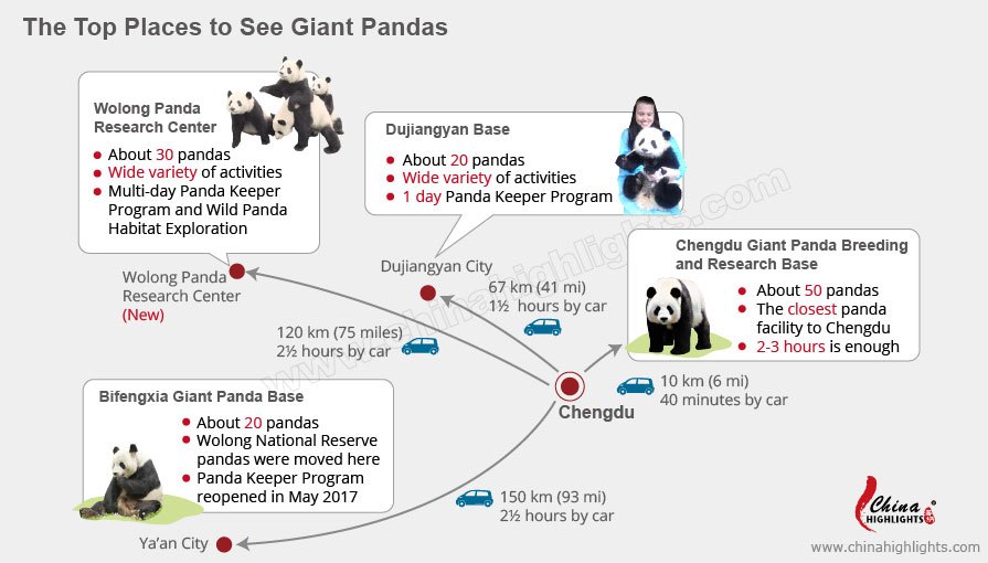 Les quatres meilleurs endroits en Chine pour voir les pandas