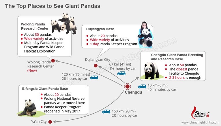 the panda bases