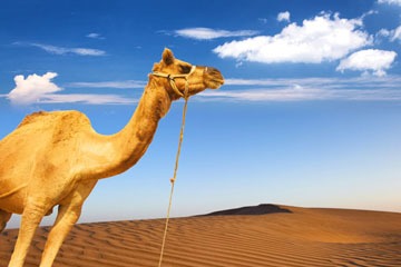 シルクロードツアー