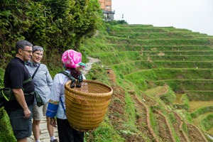 Longji rice terraced field