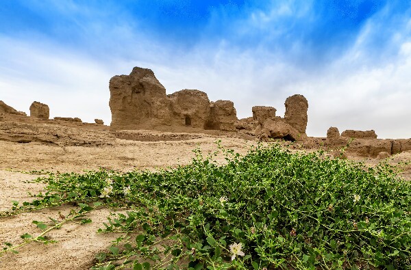 11-Day Silk Road Private Tour from Xian to Kashgar