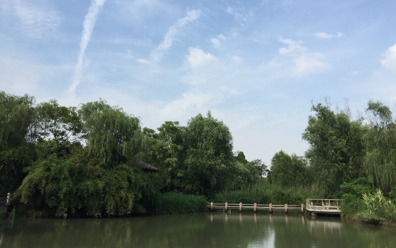  Xixi Wetland Park 
