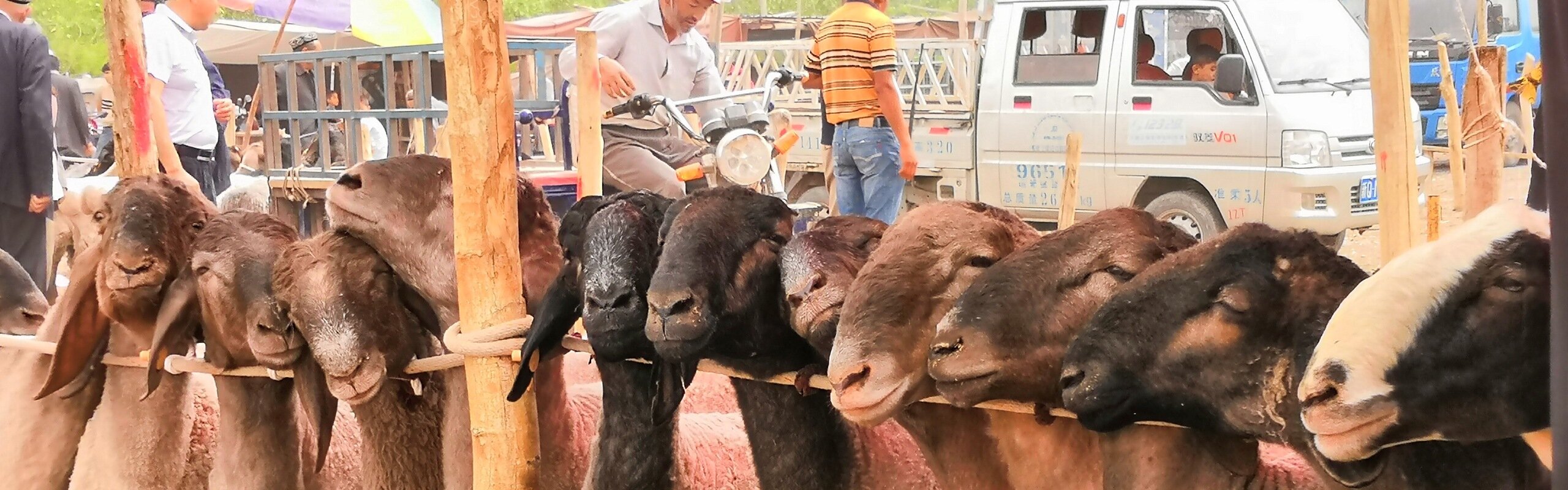 Wupaer Bazaar