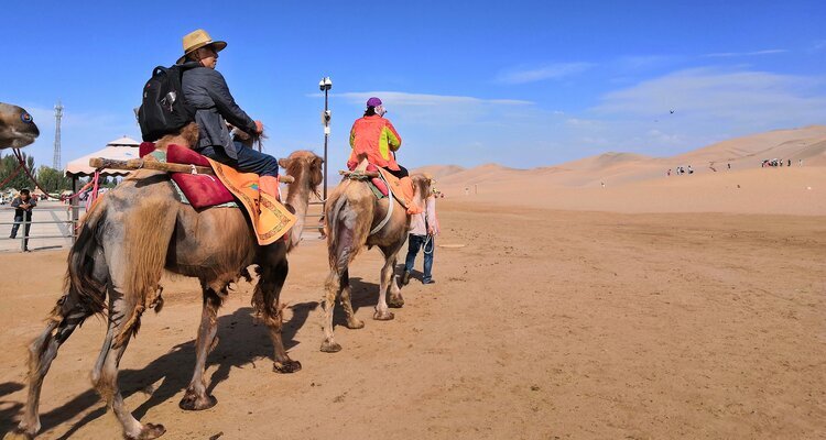 Ride a camal in Singing Sand Mountains