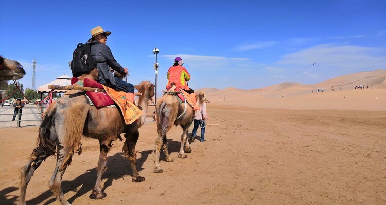 Our guests are riding camels at Mingsha Mountain