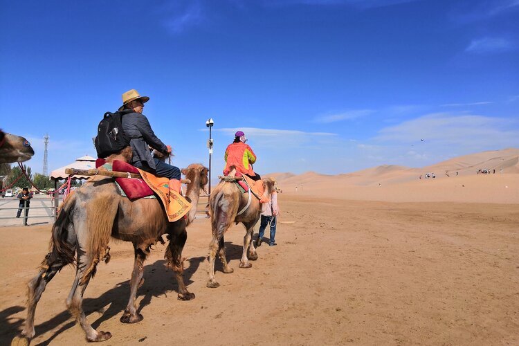 鳴沙山でラクダ乗りを体験