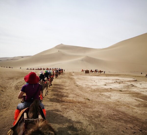 Viaje de Paisaje Natural