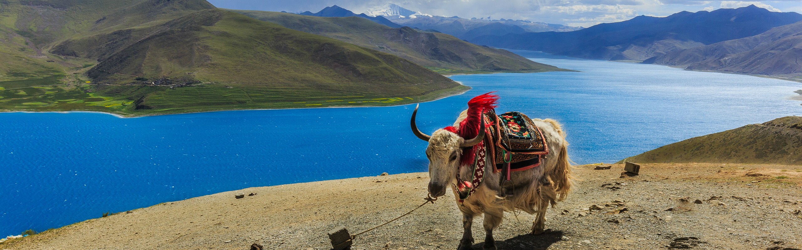 5-Day Lhasa Classics and Lake Yamdrok Tour