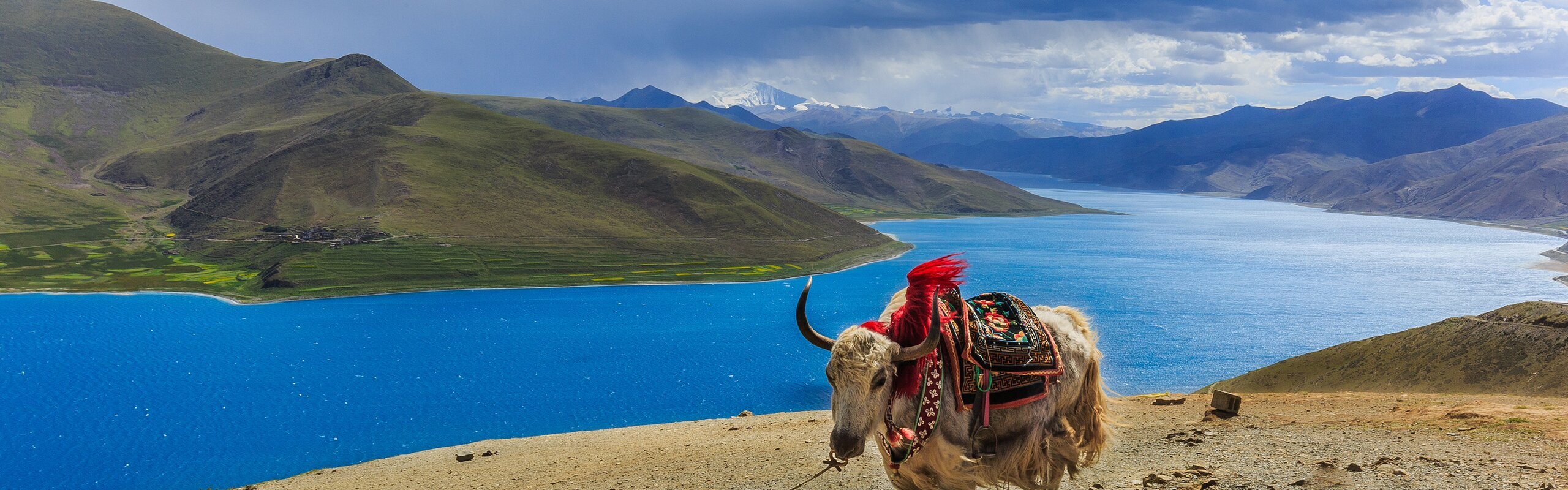 How to Get a Tibet Travel Permit