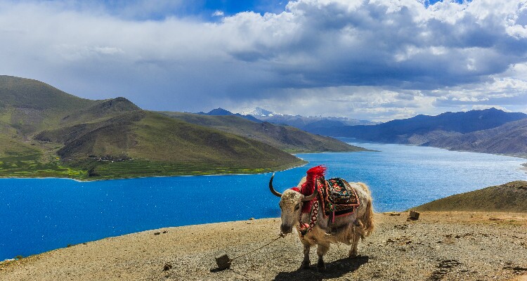 Lake Yamdrok