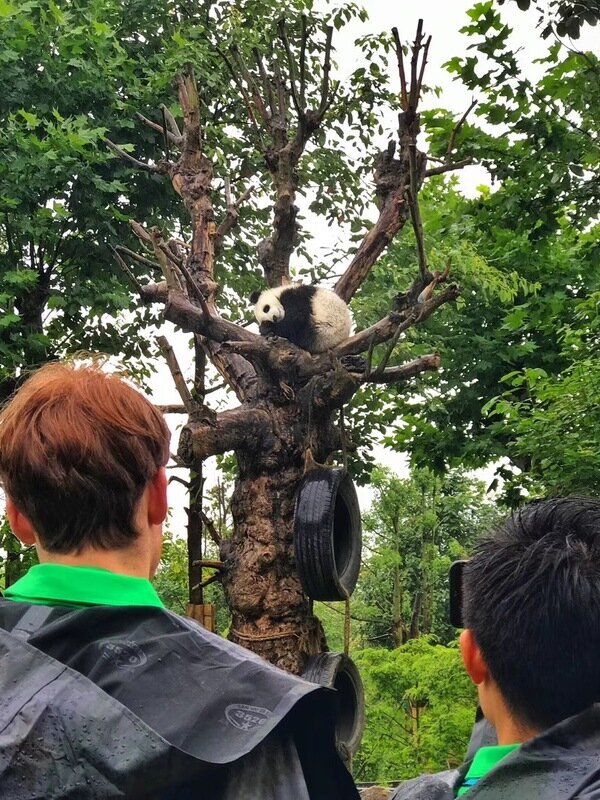 Chi vuole evitare la folla