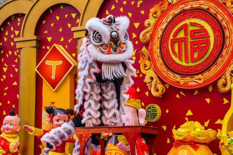 Chinese New Year Show
