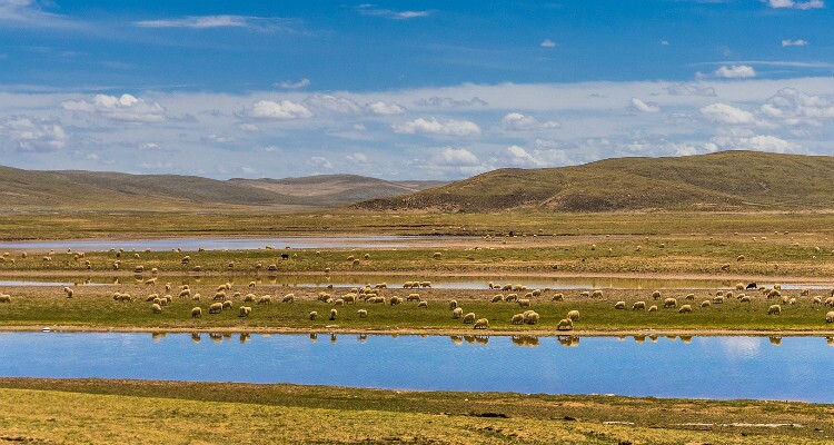 tuotuo river qinghai china
