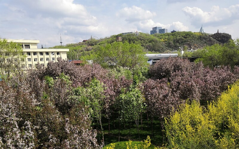 Urumqi Weather in May 