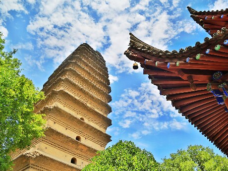 La Petite Pagode de l'Oie Sauvage