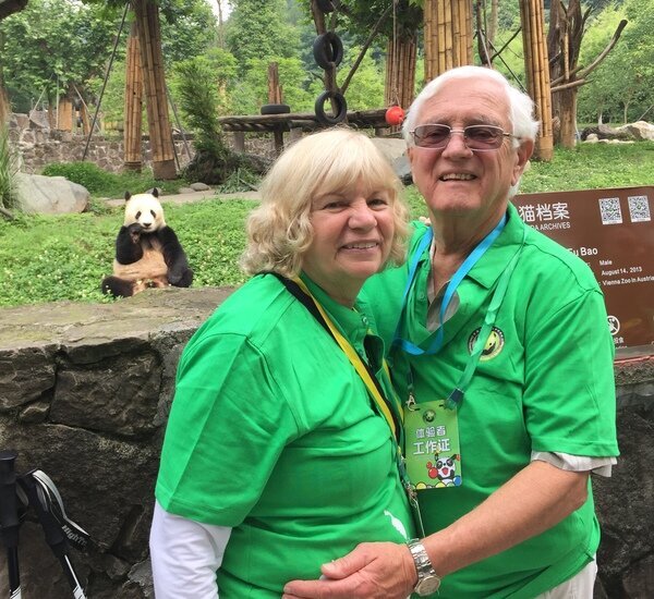 1-Day Dujiangyan Panda Volunteer Program Tour