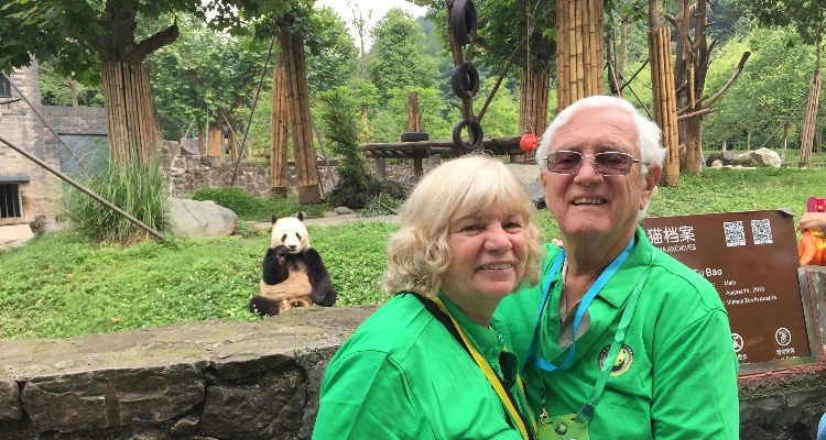 Giant Pandas in Chengdu