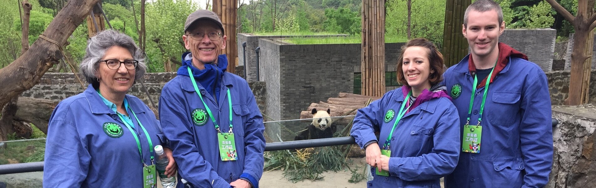 1 giorno Tour di Programma di volontariato di panda a Dujiangyan