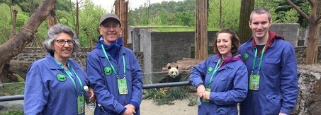 Programma di volontariato di panda