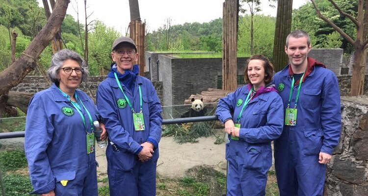 Viaggiatori durante un'esperienza con i panda in Cina