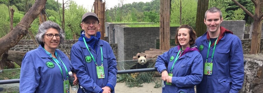 1 giorno Tour di Programma di volontariato di panda a Dujiangyan