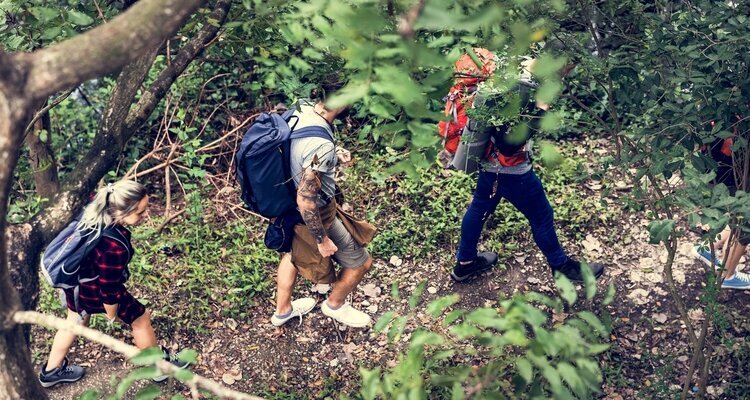 A Group of Westerners are Trekking in the Forest