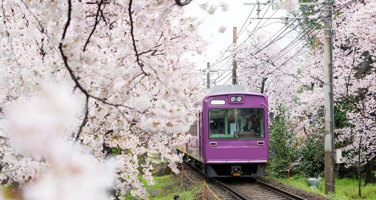 Japan beste Reisezeit