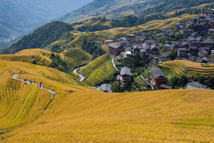 Le Terrazze di Riso di Longji